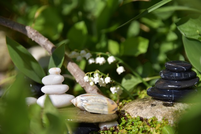January Meditation