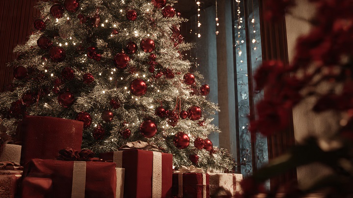 December-born individuals Day 5